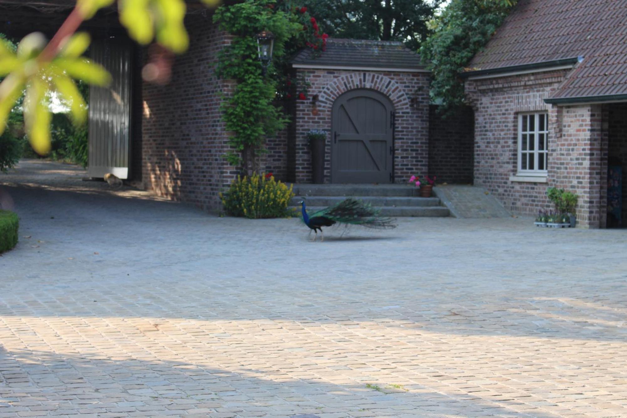 Imagine B&B Wortegem Экстерьер фото